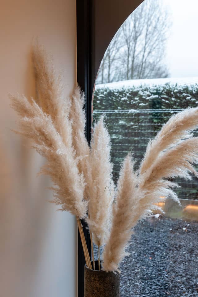 sensum pluimen
